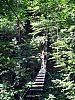 IMG_2320.JPG